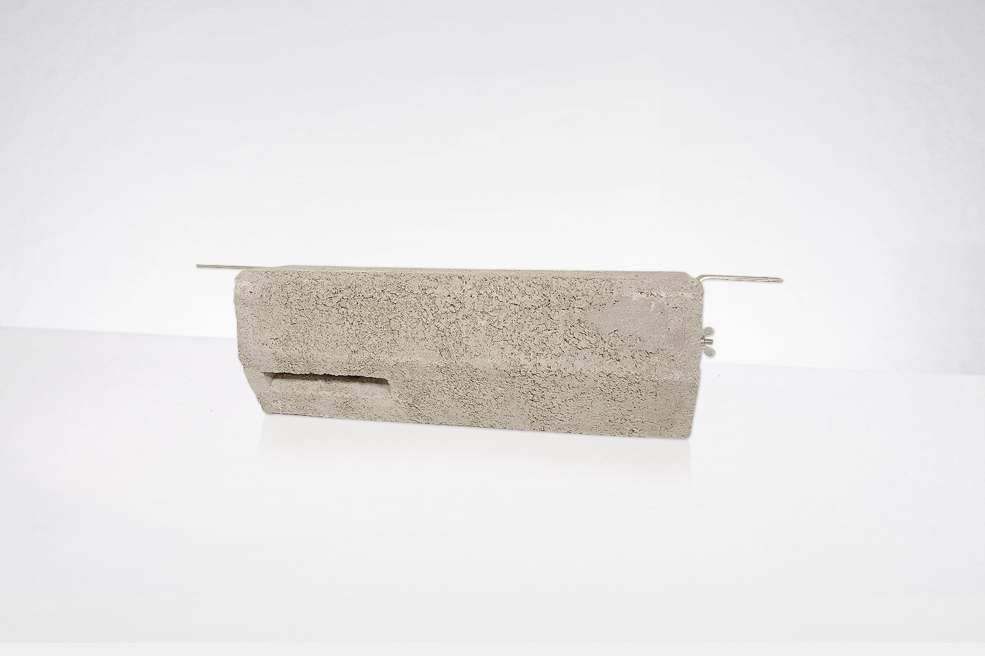 Common swift nest box - wall mounting