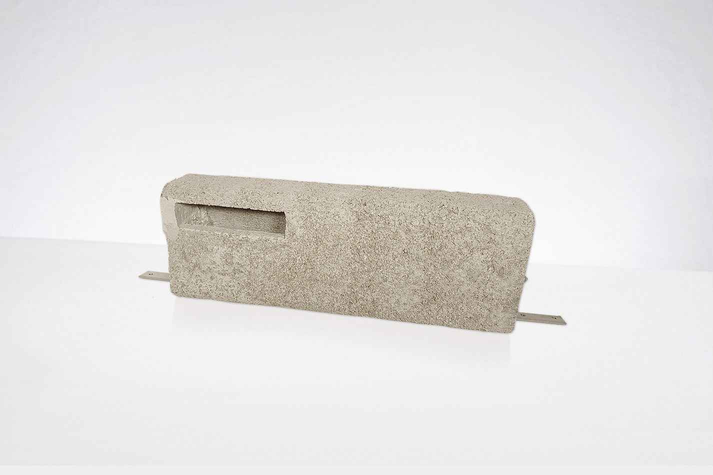 Common swift nest box - entry from below
