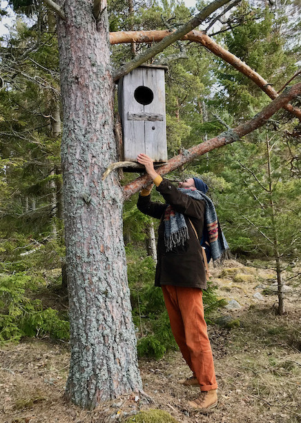Mann hängt Nistkästen an Baum auf