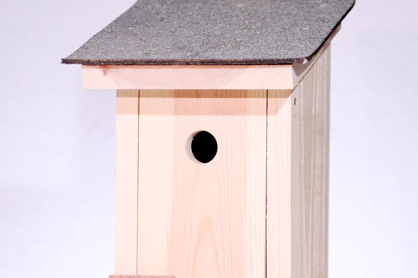 Nest Box for Titmice